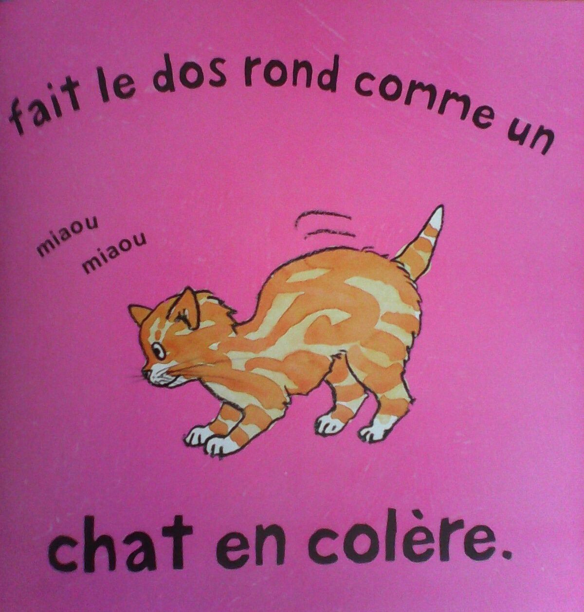 le-chat